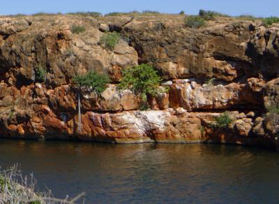 Yardie Creek