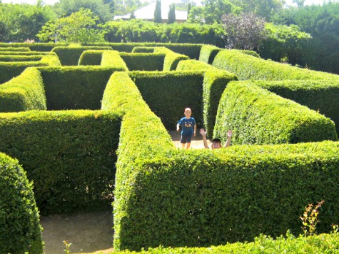 The Maze Mandurah