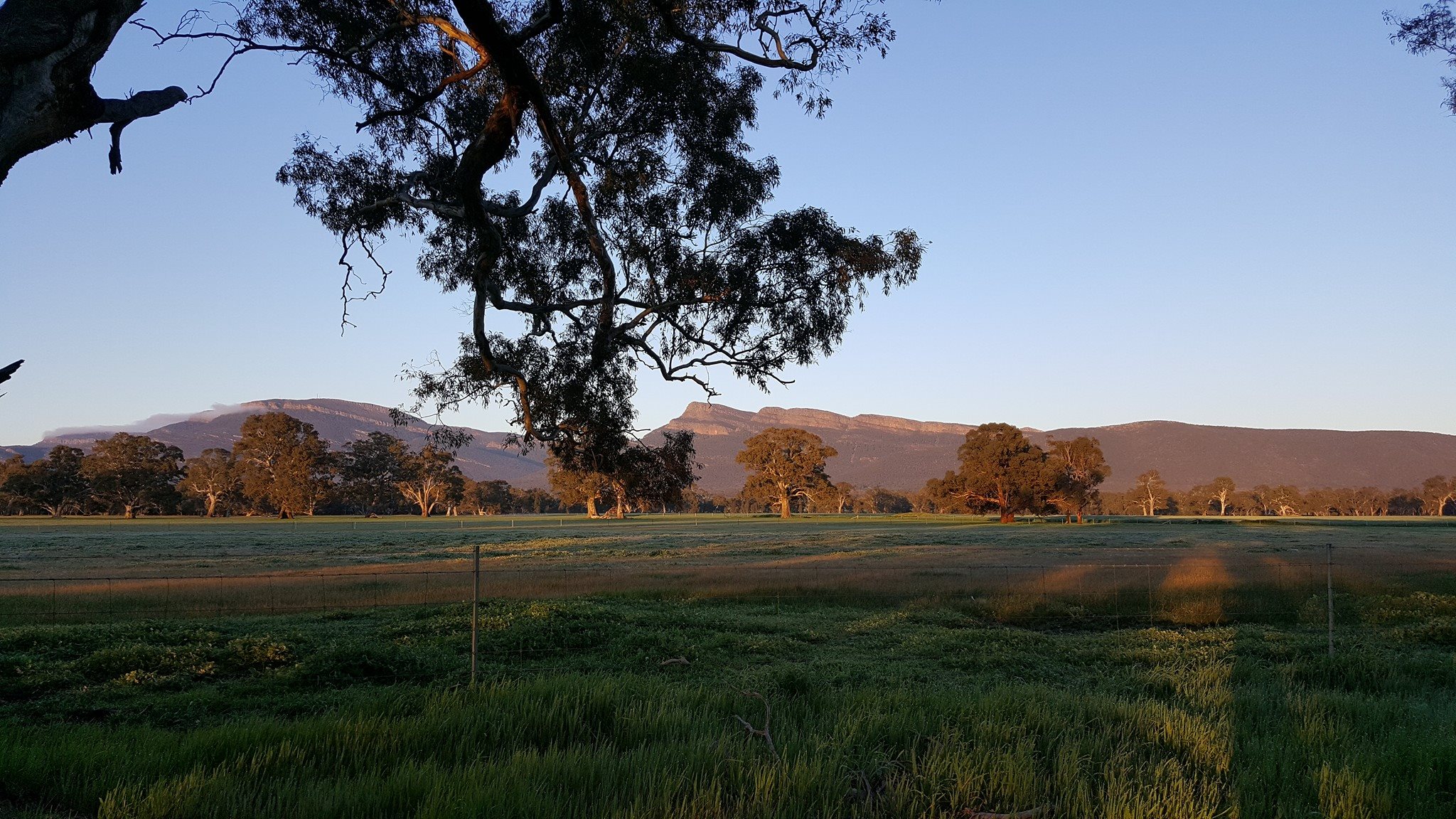 There is so much do here for families at Halls Gap Lakeside Tourist Park and now they are TAWK Supporters, it means that your kids camp two nights FREE!