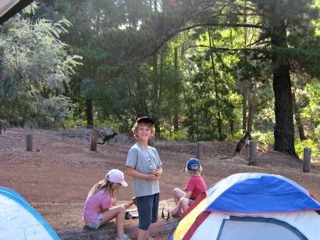 Baden Powell Dwellingup