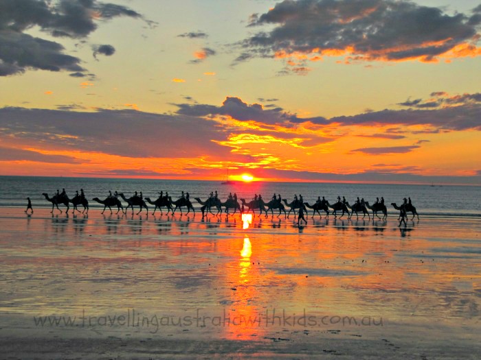 Camels Cable Beach