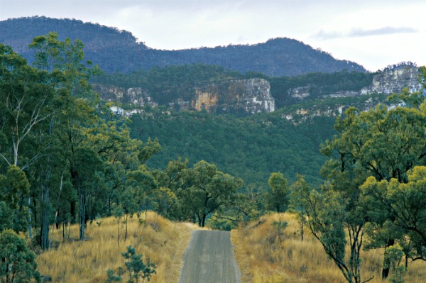 Carnarvon Gorge National Park