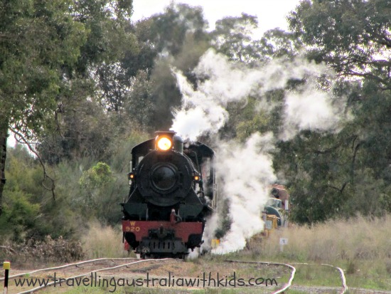 Hotham Valley Train