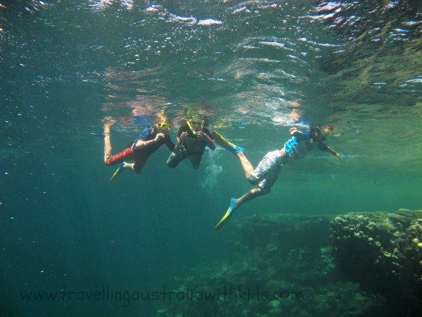 Snorkelling Ningaloo Reef