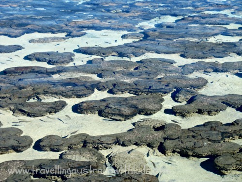 Stromatolites