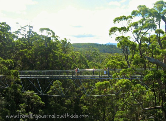 The Tree Top Walk Walpole