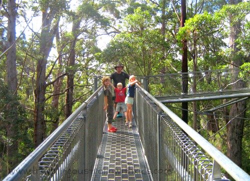 Walpole Tree Top Walk