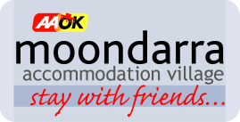 Moondarra Caravan Park photo