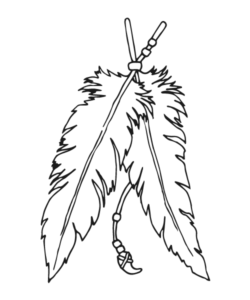 Details Image
