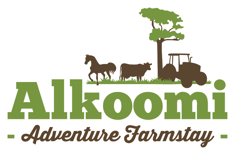 Alkoomi Adventure Farmstay photo