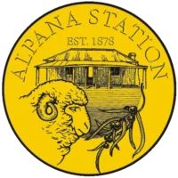 Alpana_logo-200-200
