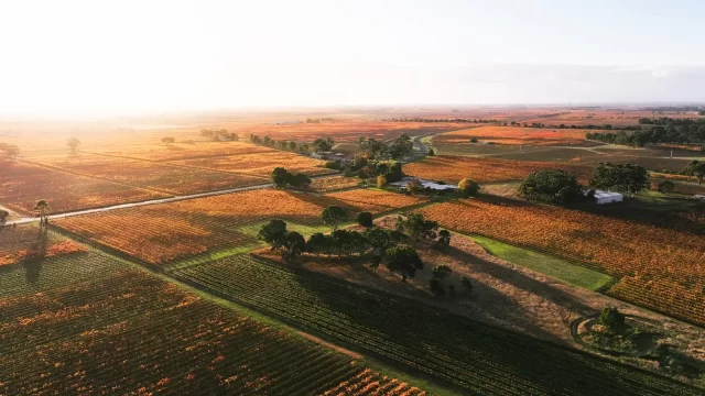 Autumn_arial_OLR.webp