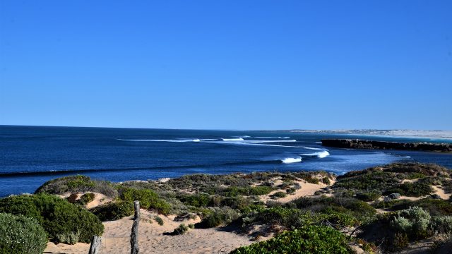Cactus-Beach.jpg