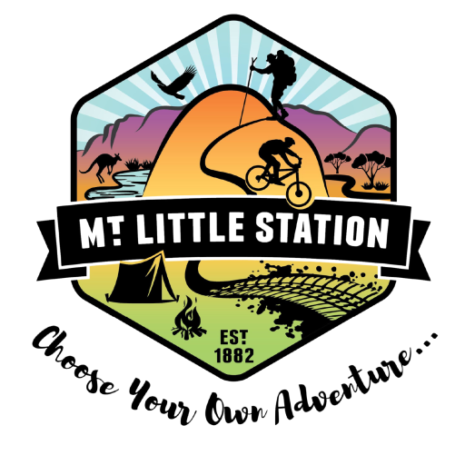 cropped-MLS_MainLogo_Colour-1