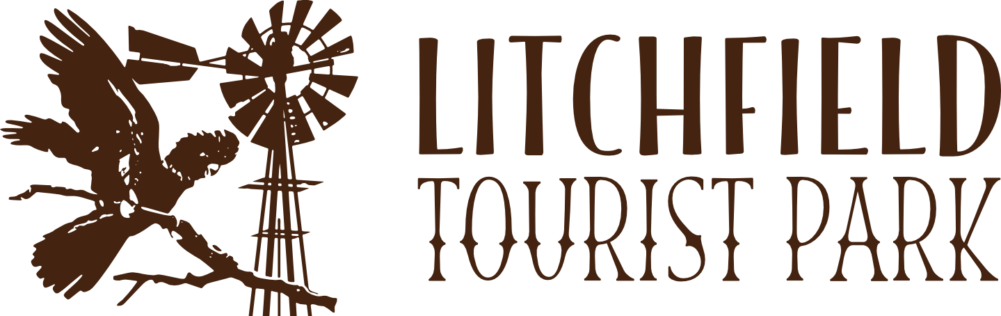 ltp-logo-brown