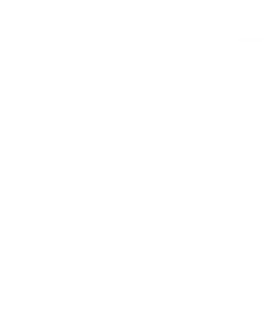 Details Image