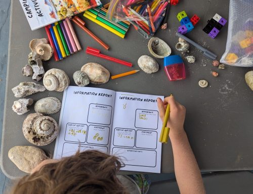 Homeschooling on the Road: Options