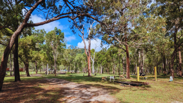 Secluded-Tent-Sites-Childers-1