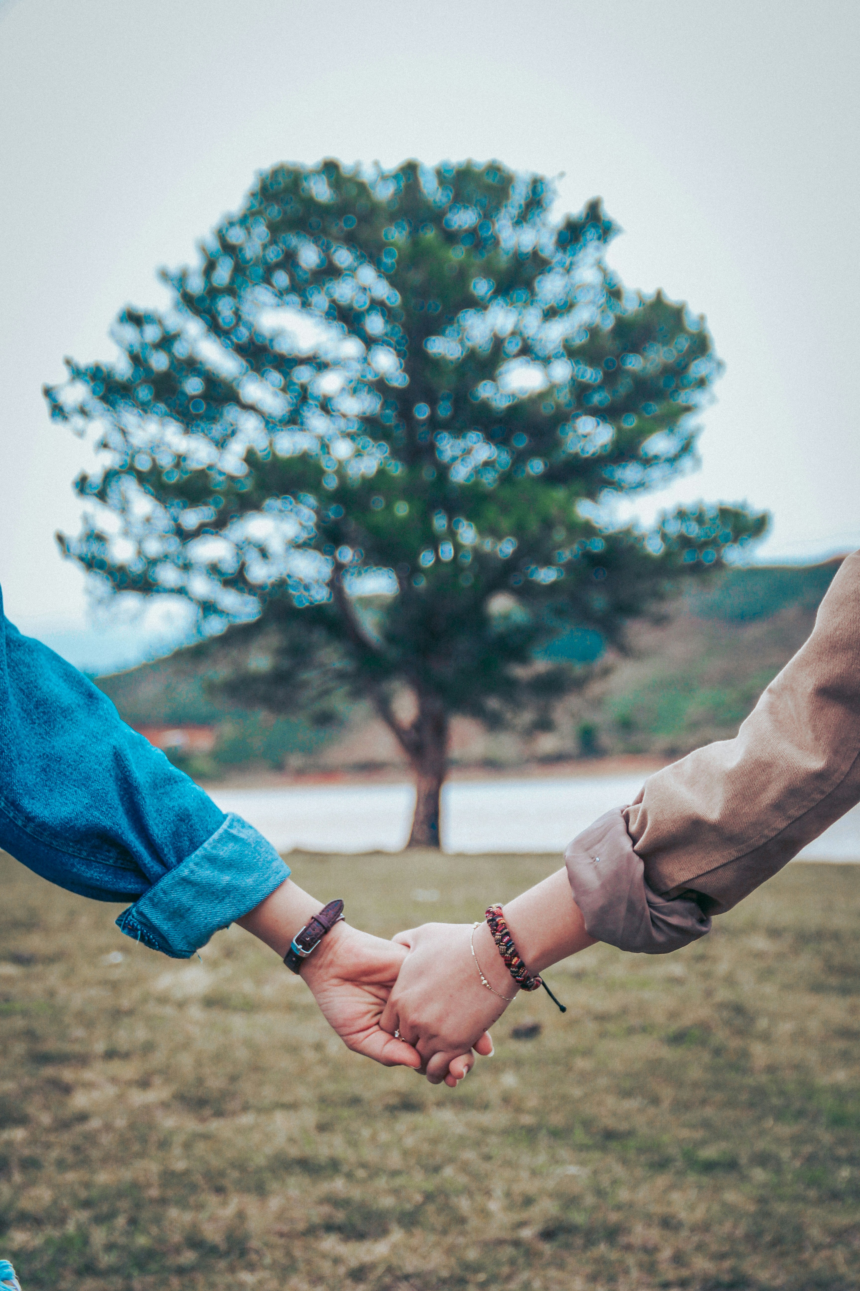 Two people holding hands in front of a lone tree beside water, with dry grass underfoot