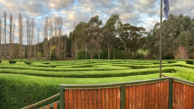 Brookfield Maze