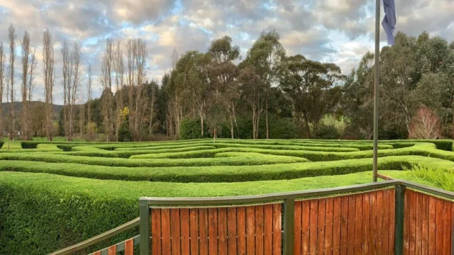 Brookfield Maze
