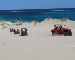 Coral Coast Tours