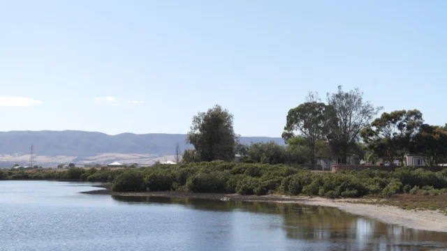 xport-pirie-view.jpg.pagespeed.ic.NcMZQ5YnEK